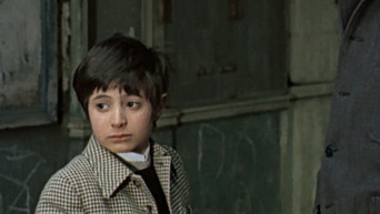 Episode 7 — Episode 7