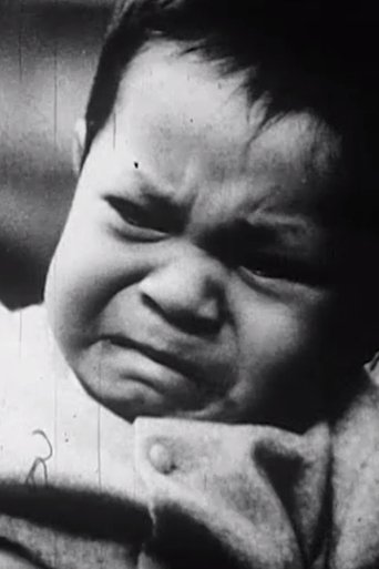 The Witness or Timid Expectations