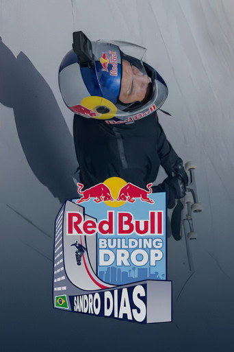 Sandro Dias's Ultimate Skate Ramp (2025)