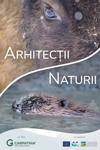Nature's Architects movie poster