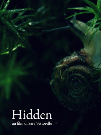 Hidden