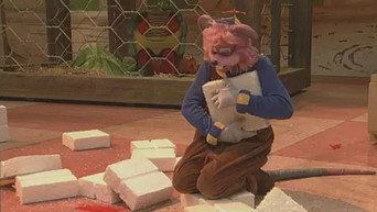 Episode 55 — Episode 55