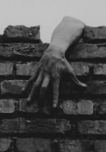 The Hole (1973) The Hole (1973)