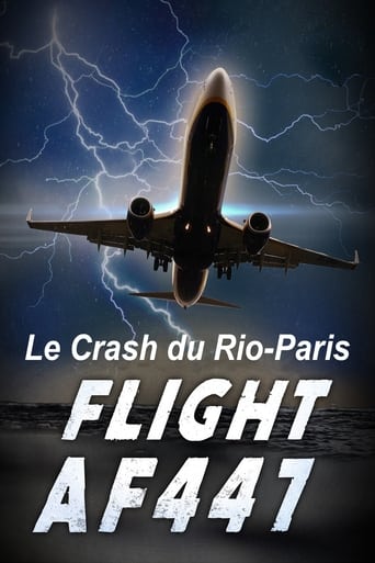 Vol AF 447, Le crash du Rio-Paris