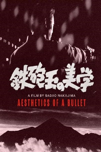 Aesthetics of a Bullet (1973)