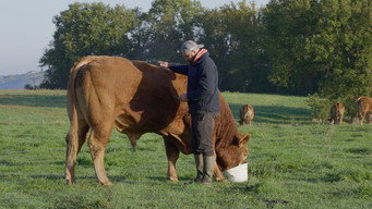 #5 Rural