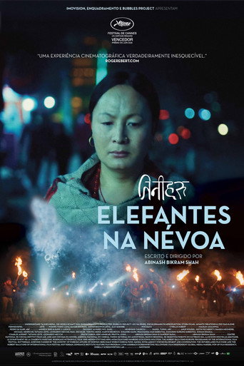 Elefantes na Névoa