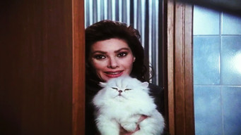 Aflevering 1 — Episode 1