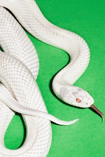 privatemusic.tv poster