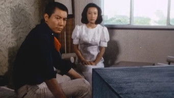 Episode 10 — 11 Collections!! The Invitation To Happiness