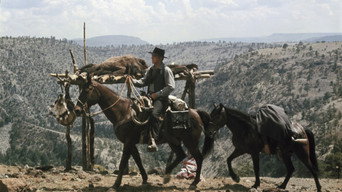 #10 Lawman