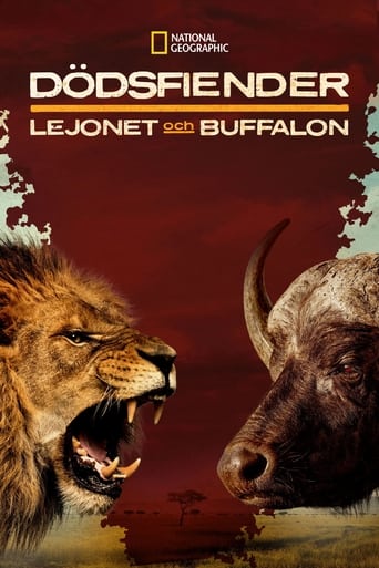 Poster för Blood Rivals Lion vs Buffalo: Buffalo Fortress