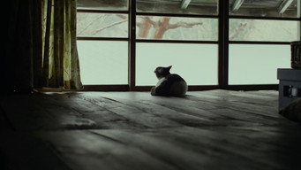 Still 5 from Little Forest: Summer/Autumn