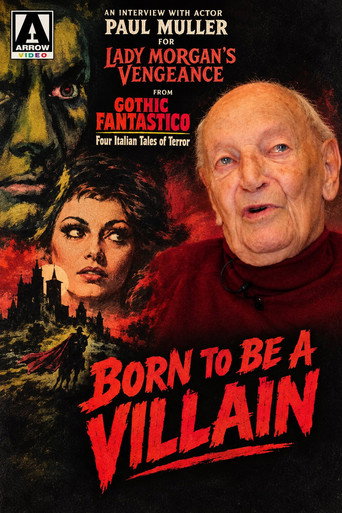 Born to Be A Villain poster