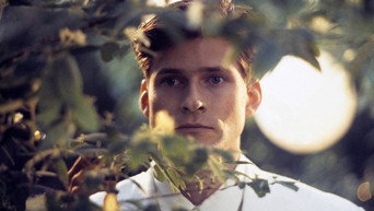 Там, де серце (1990)