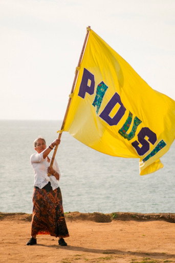 After the Flags (2023)