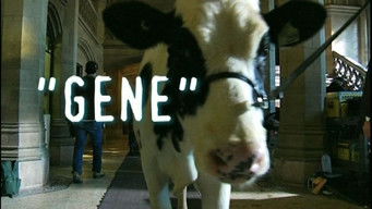 第26話："Gene" A Tale of Two (Actually Three) Bovines