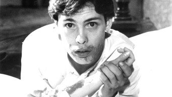 #23 Martin