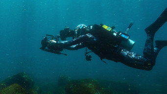 #5 Sharks Up Close with Bertie Gregory