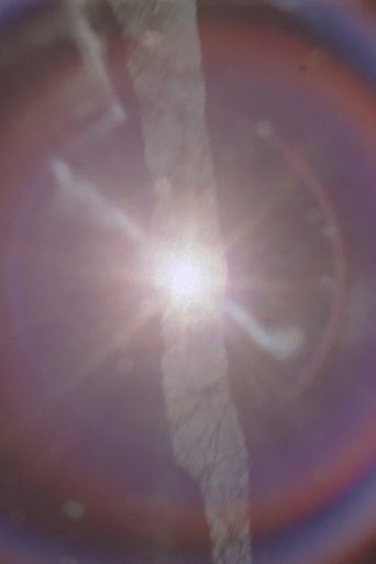 There is gold everywhere poster