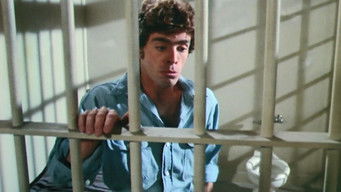 Episode 5 — Screams