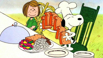 A Charlie Brown Thanksgiving backdrop 5