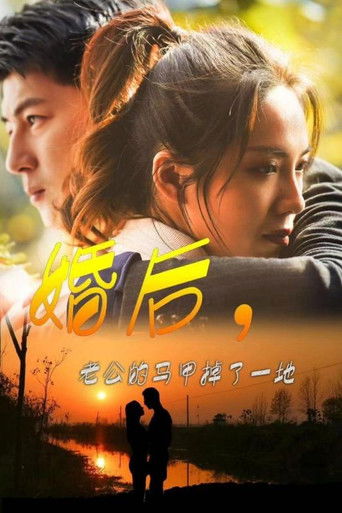 婚后，老公的马甲掉了一地 poster
