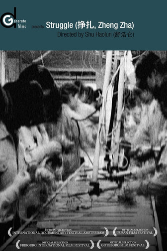 挣扎 (2001)