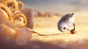 Piper backdrop 1