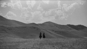 #18 The Big Trail