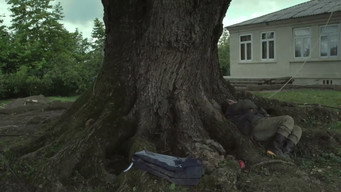 #12 Приборкання саду
