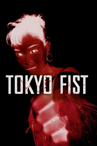 Tokyo Fist poster 8