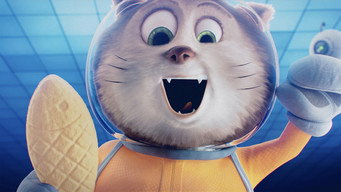 CRASHCAT (2026)