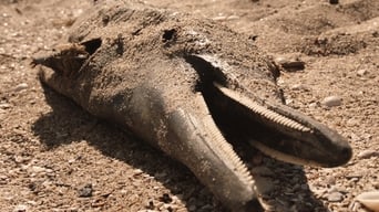 Galeria 2 - Sea of Shadows