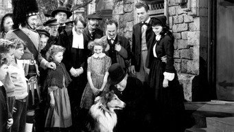 Challenge to Lassie (1949)