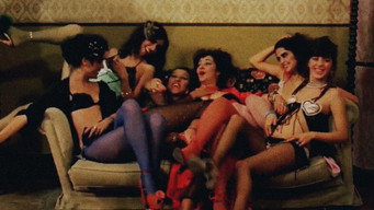#7 The Seven Kittens