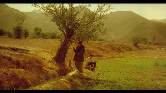 #6 The Pear Tree