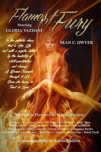 Poster of Flames of Fury