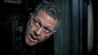 Galeria 3 - Papillon