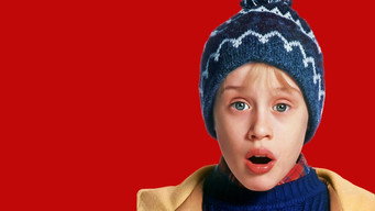 Home Alone 2: Lost in New York backdrop 10