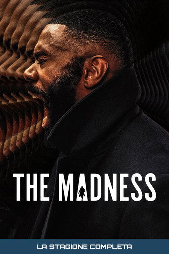 Miniserie poster