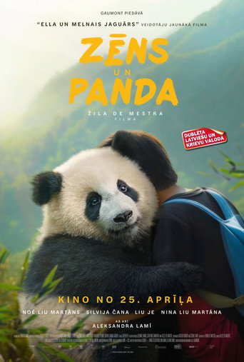 Zēns un panda