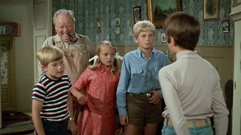 Five and the Spies (1969)