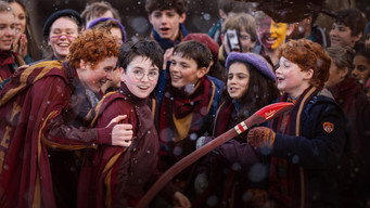 À Procura de Harry: A Arte por Trás da Magia