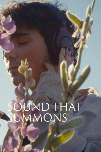 Sound That Summons poster