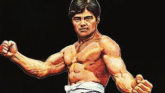The Way of the Tiger (1973)