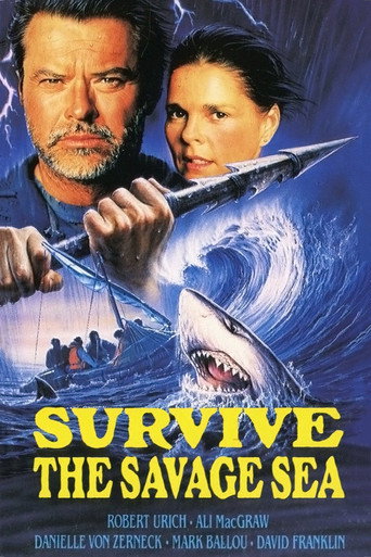Poster 4