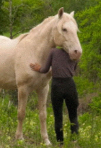 Le silence entre les notes (2023)