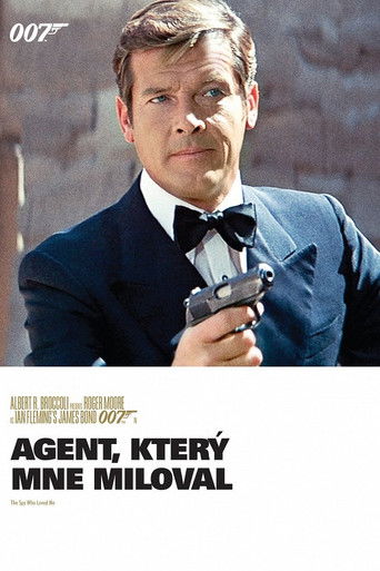 Agent, kter&yacute; mne miloval