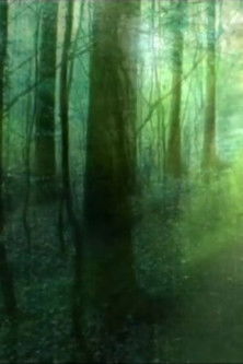 La carte postale poster